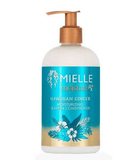Mielle Moisture RX Hawaiian Ginger Moisturizing Leave-in Conditioner (12oz)